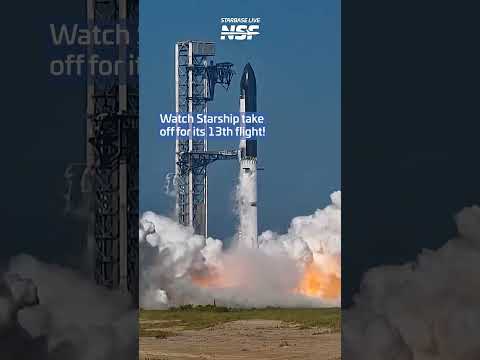 David Warmke - Starship - Misc Originals