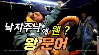낙지주낙중에 웬 왕문어가? 2편