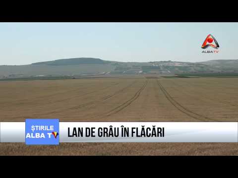 LAN DE GRÂU ÎN FLĂCĂRI