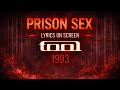 Tool - Prison Sex (Lyrics on Screen Video 🎤🎶🎸🥁)