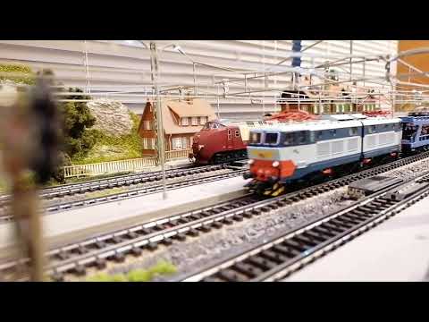 Talgo con auto al seguito loco italiana