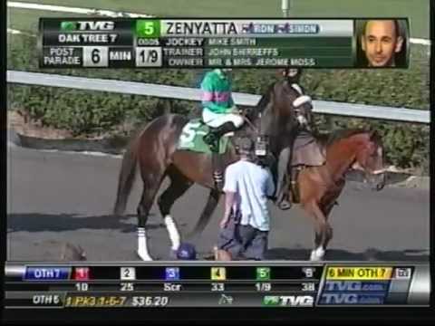 Zenyatta - 2010 Lady's Secret Stakes + Pre & Post Race