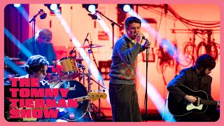 Madra Salach - Blue & Gold video
