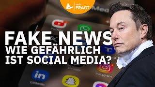 Wahlkampf auf Facebook, TikTok & Co. – Wird unsere Meinung online gema