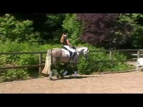 Grenzhoehes Montserrat