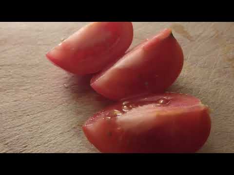 MongoTV_8544 - Min Natmad - 1 TOMAT