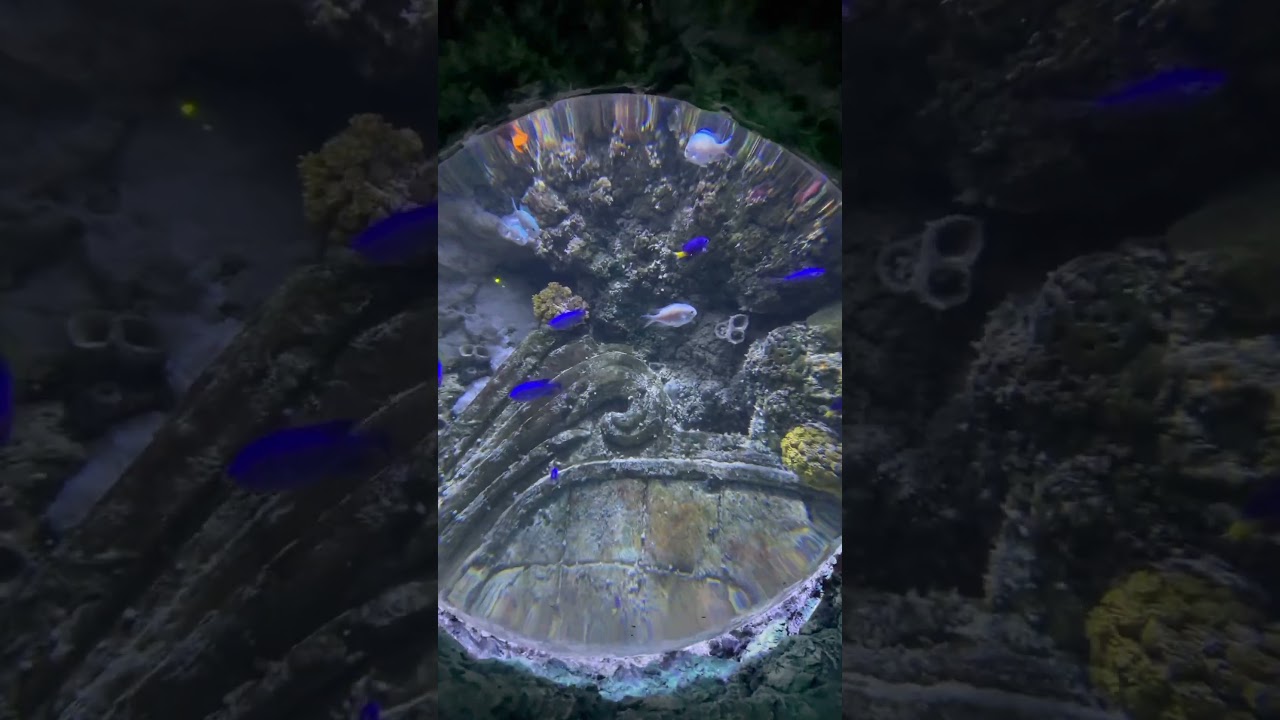 YouTube Short thumbnail