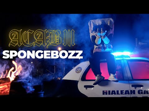 Video thumbnail for A.C.A.B. III