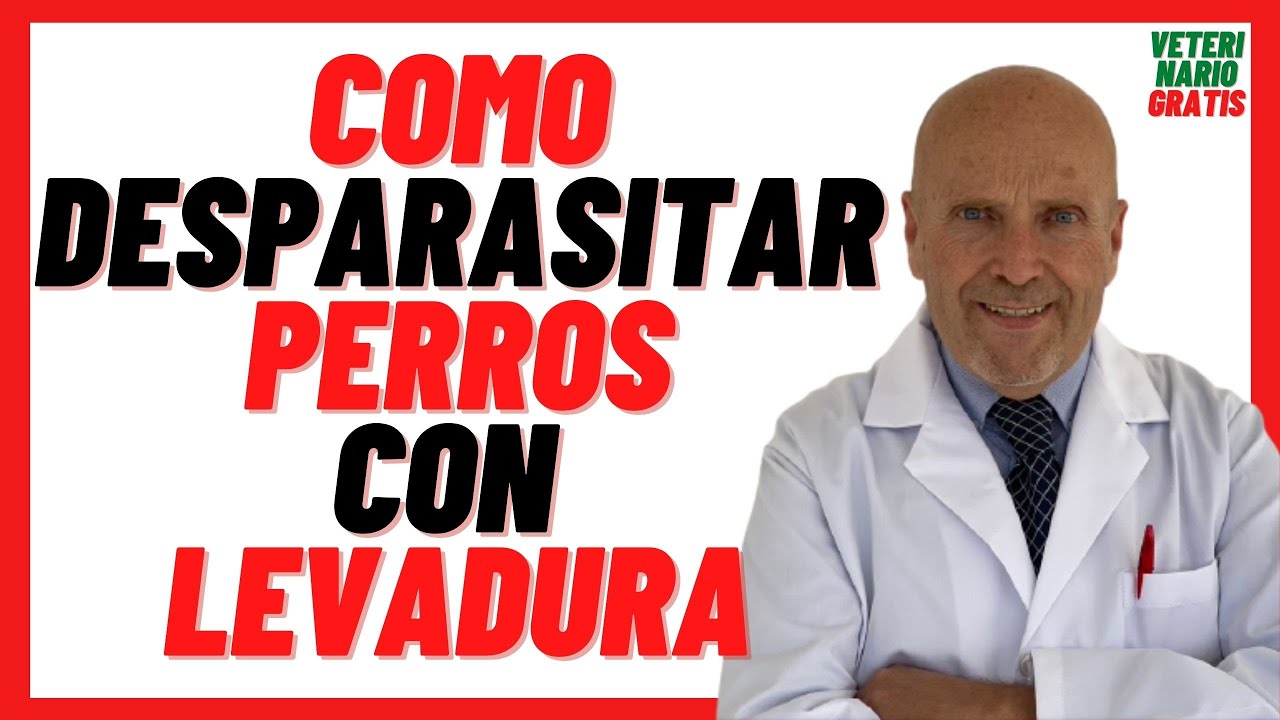 🔴 Levadura de Cerveza para Desparasitar Perros Adultos y Cachorros Externamente 🔴