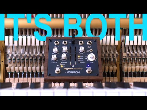 Vongon Polyphrase Stereo Delay (New & Unused) image 5