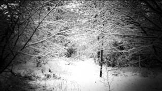 Cover art for Black Snow