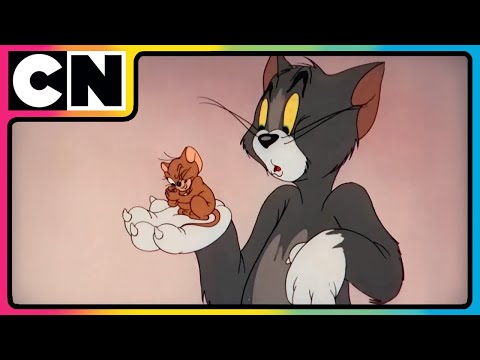 Tom & Jerry 😍| Chaos Has a Secret Entrance!🥳| Cat & The Mouse✨| Cartoon for Kids 😍​| @cnindia​