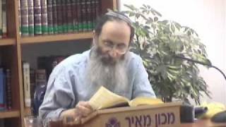 15116-1 בני בכורי ישראל