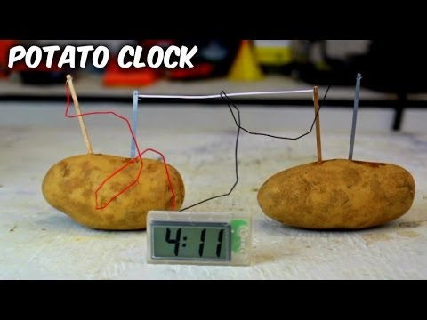 Potato Clock - Science Experiments