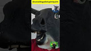 #SemAnistia, #piorcongressodahistoria, #ImpeachTrump, #BolsonaroPreso