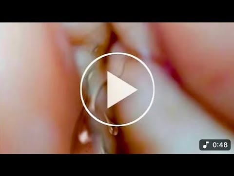 Portrait Video Baimint Nanny Canon Natasha Lyonne