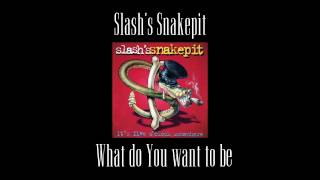 Slash&#39;s Snakepit - What do You want to be (Original Backing Track)