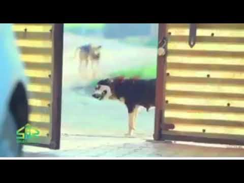 dil ko chhu lenewala vedio 😭😭