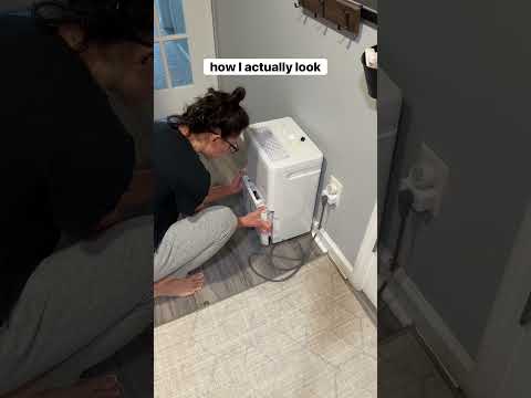 Who is she? 💅🏼 💩 ✨ #shorts #trashman #chinchilla #pets #relatable