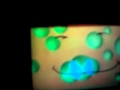 Nick Jr Face Love Bubble Bath At The Hotel