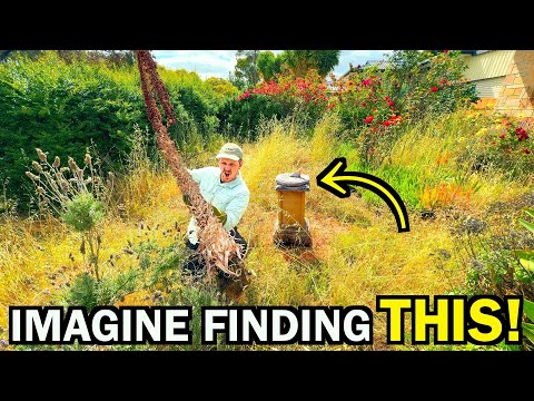 A Secret Which Was HIDDEN In Her Yard For YEARS – UNREAL Discovery!