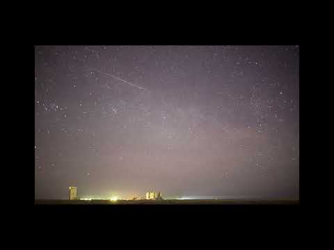 Dragonfly Keeper   Phildel