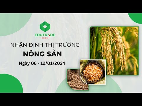 Nhận định thị trường hằng ngày