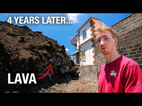 What La Palma Looks Like 4 Years After the Volcano Eruption