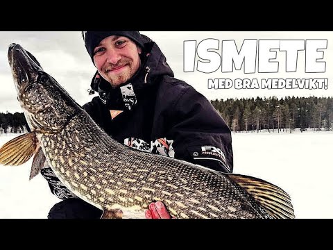 Ismete Norrland, i djupsnö och snålblåst! (Two Hunters)