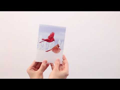 Winter Cardinals Holiday Cards - Set of 8