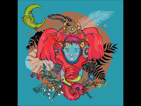 Draso - Coral (Original Mix) [DO NOT SIT ON THE FURNITURE RECORDINGS]