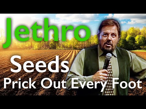 Jethro Somerset Tales: Cows, Sheep & Shocking Farmer Secrets! WATCH TO THE END..!