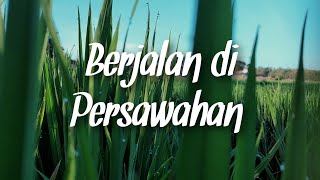 Download lagu [4K] Video Aesthetic Alam 60 Detik Mentahan | Cinematic Nature| Berjalan di Sawah mp3