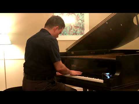 Baldwin F series, Semi Concert Grand Piano, 7′ Black F 1968-69 - Hammers and strings etc were renewed. image 3
