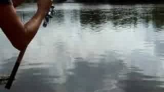 preview picture of video 'Pesca di Barbi a ledgering nel fiume Sesia'