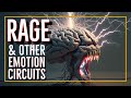 The 7 Emotion Circuits:  RAGE, FEAR, GRIEF, LUST, CARE, SEEKING, and PLAY (Jaak Panksepp's theory)