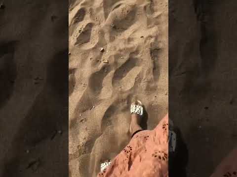 Beach day🌊 #beach#shortsvideo#100ksubscribers#sistrology#foryou#viralvideo#reel