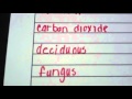 Focus Forms