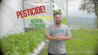 Organic pesticide for hydroponics