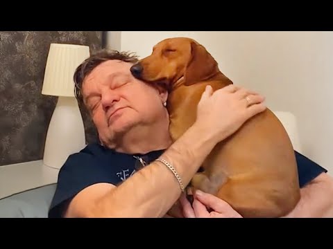 Les chiens de l'école ne sont pas les bienvenus 🤣 drôle de chien et d'homme