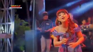 Download lagu SERIGALA BERBULU DOMBA ~ ARNETA JULIA OM ADELLA LIVE TEGAL mp3