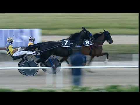 Napoli Trotto 17/06/2023 - 3ª corsa