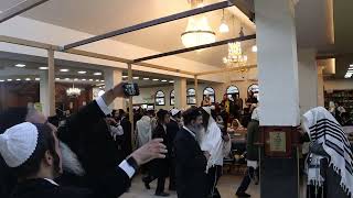 "בוקר אחר התפילה בציון רבי נחמן: ריקודים ושמחת אין קץ"... ערב ראש השנה התשפ"ד