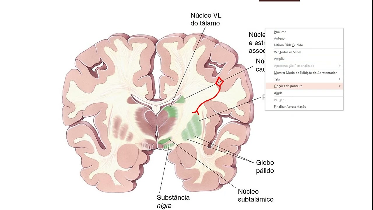Núcleos da Base - VIA DIRETA