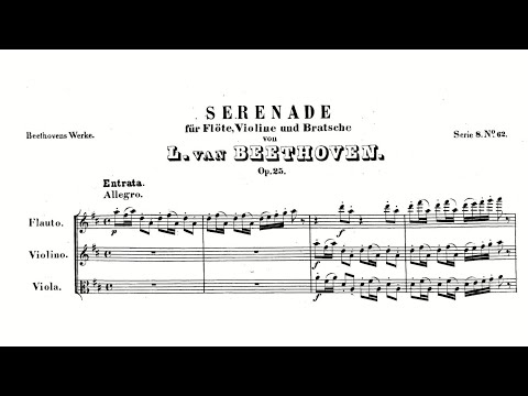 Beethoven: Serenade for flute, violin and viola in D major, Op. 25 (with Score)