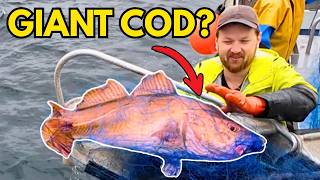 56 Nets in the Fjord: Caught the BIGGEST Cod of the Year (#7)