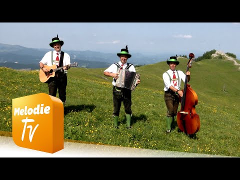 Schneiderwirt Trio - Wohl in der Wiederschwing (Offizielles Musikvideo)