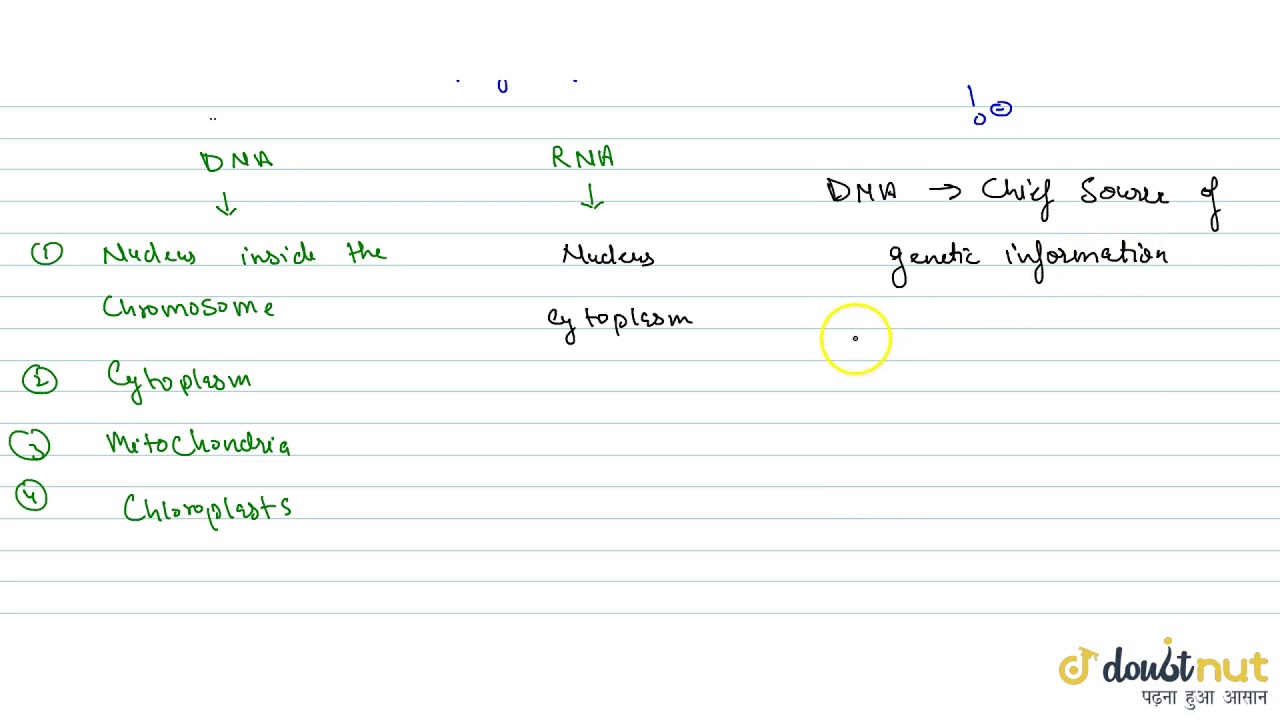 CHEMICAL COMPOSITION OF NUCLEIC ACIDS
