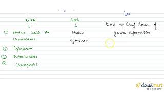 CHEMICAL COMPOSITION OF NUCLEIC ACIDS