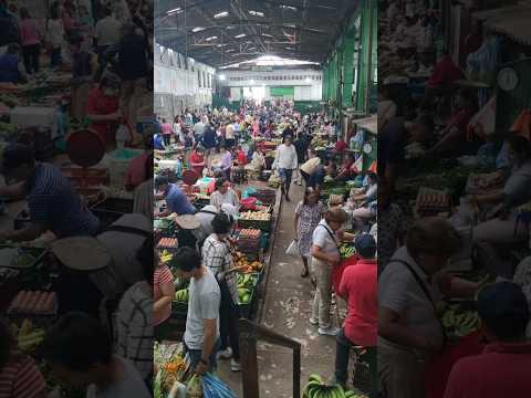 PLAZA DE MERCADO DE SOCORRO, SANTANDER.  #turismo #viajes